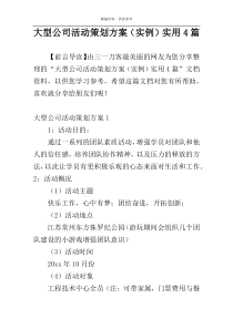 大型公司活动策划方案（实例）实用4篇