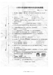 20205沭阳小学六年级下册数学期中阶段性检测题