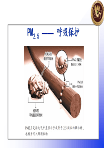 培训教材-PM25及呼吸保护讲稿