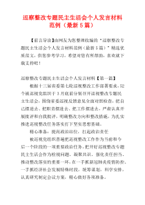 巡察整改专题民主生活会个人发言材料范例（最新5篇）