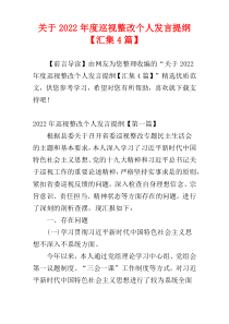 关于2022年度巡视整改个人发言提纲【汇集4篇】