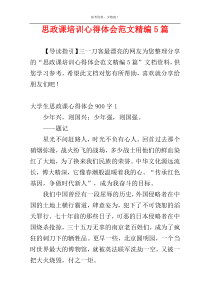 思政课培训心得体会范文精编5篇