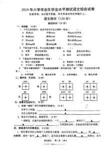 2019年沭阳县小必考语文真题试卷