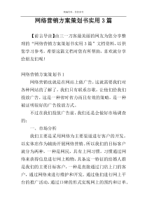 网络营销方案策划书实用3篇