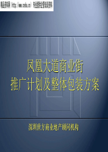 深圳世方商业地产-凤凰大道商业街推广计划及整体包装方案（PPT28页）