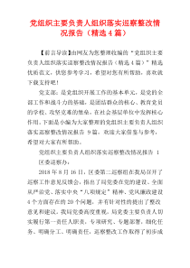 党组织主要负责人组织落实巡察整改情况报告（精选4篇）