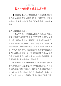 老人与海鸥教学反思实用5篇