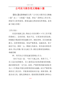 公司实习报告范文精编3篇