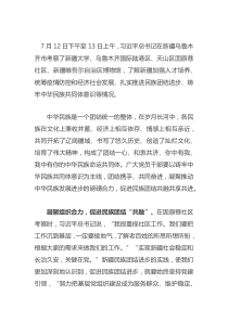 学习近平总书记新疆考察心得体会