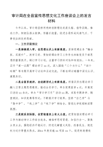 审计局在全县宣传思想文化工作座谈会上的发言材料含存在的问题和整改措施