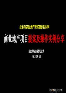 XXXX年成全机构商业地产项目提案及操作实例分享(ppt93