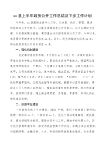 x县上半年政务公开工作总结及下步工作计划