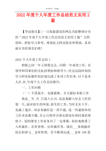 2022年度个人年度工作总结范文实用2篇