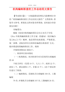 机构编制核查的工作总结范文报告