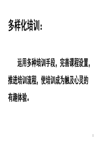 多样化培训投影及随堂讲义