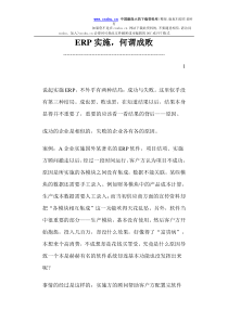 ERP实施，何谓成败 (doc 5)