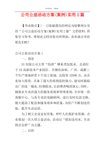 公司公益活动方案(案例)实用2篇