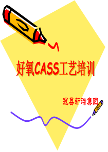 好氧CASS工艺培训资料