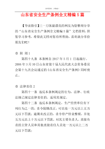 山东省安全生产条例全文精编5篇