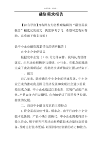 融资需求报告