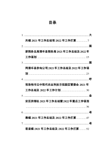 2021年工作总结及2022年工作计划汇编40篇