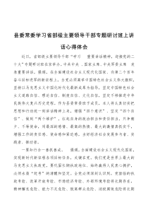 县委常委学习省部级主要领导干部专题研讨班上讲话心得体会