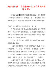 关于造口伤口专业管理小组工作方案（精选4篇）