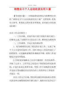 销售实习个人总结收获实用5篇