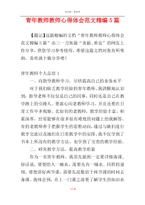 青年教师教师心得体会范文精编5篇