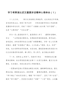 3篇心得体会x考察湖北武汉重要讲话精神心得体会范文4篇研讨发言