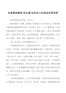 在县委巡察组回头看动员会上的表态发言材料范文工作会议