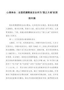 心得体会全面把握粮食安全作为国之大者的深刻内涵研讨发言材料