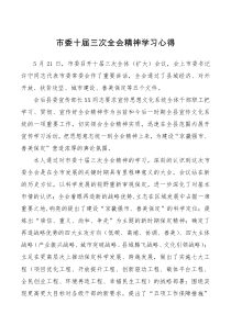 市委十届三次全会精神学习心得