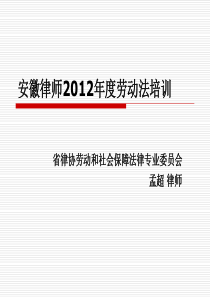 安徽省XXXX年度实习律师培训(孟超