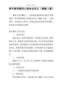 青年教师教师心得体会范文（精编3篇）