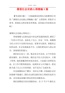 暑假社会实践心得精编3篇