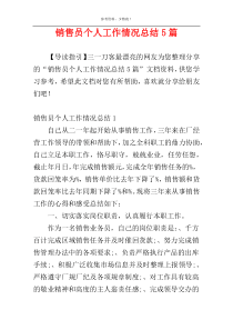 销售员个人工作情况总结5篇