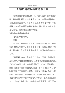 犯错的自我反省检讨书2篇