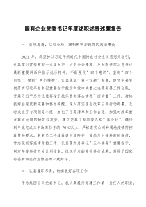 总结报告国有企业党委书记年度述职述责述廉报告范文国企集团公司