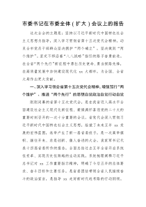 工作汇报市委书记在市委全体扩大会议上的报告