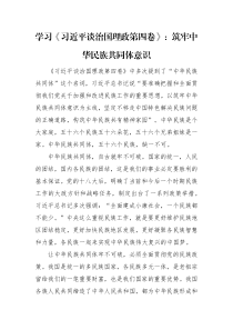 心得体会学习习近平谈治国理政第四卷筑牢中华民族共同体意识