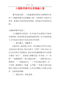 小摄影师教学反思精编3篇