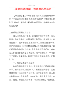 工商系统试用期工作总结范文范例