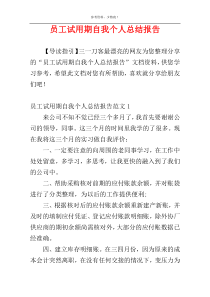 员工试用期自我个人总结报告