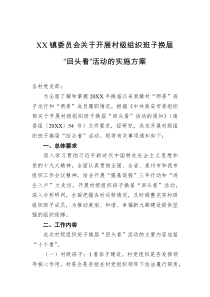 xx镇委员会关于开展村级组织班子换届回头看活动的实施方案