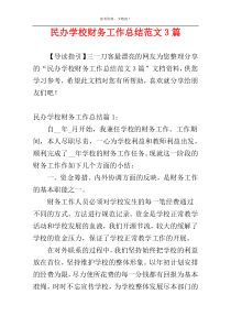 民办学校财务工作总结范文3篇