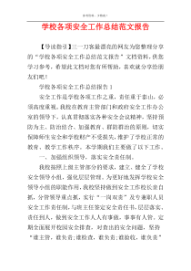 学校各项安全工作总结范文报告