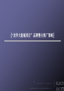 【房地产】“龙华大新城项目”品牌整合推广策略