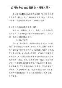 公司财务自检自查报告（精选4篇）