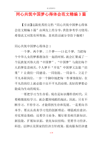 同心共筑中国梦心得体会范文精编3篇